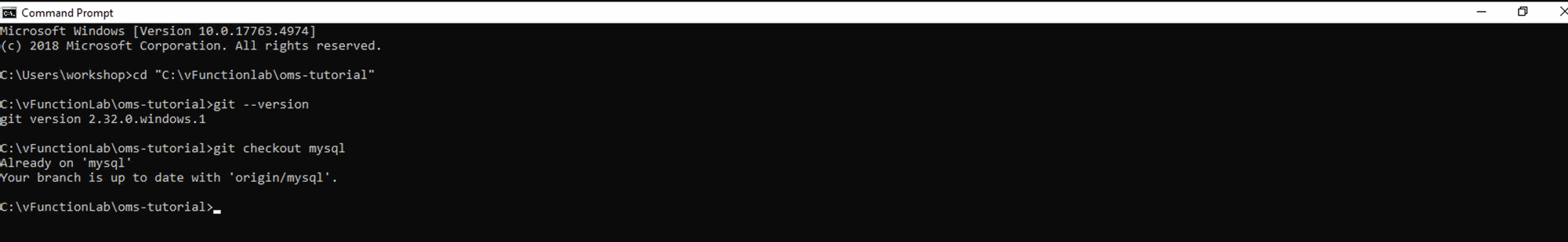 servextr